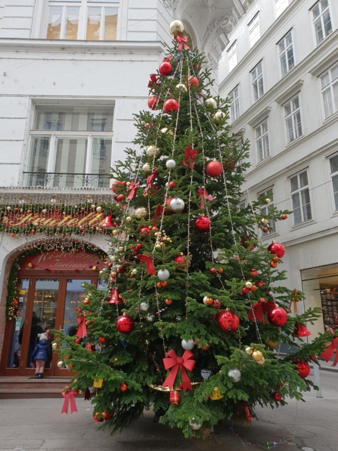 Vienna Spiritアパートメント エクステリア 写真